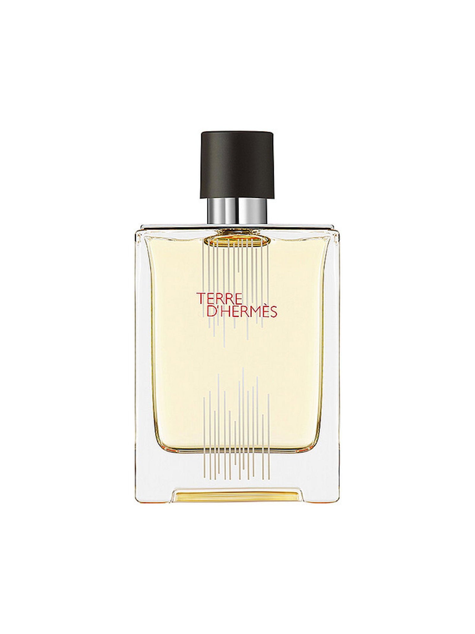 Hermes, Terre d'Hermes Flacon H Limited Edition, Eau de Toilette, För män, 100 ml