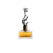 Aurora, Deciduous Summer, Parfymvatten, För kvinnor, 100 ml