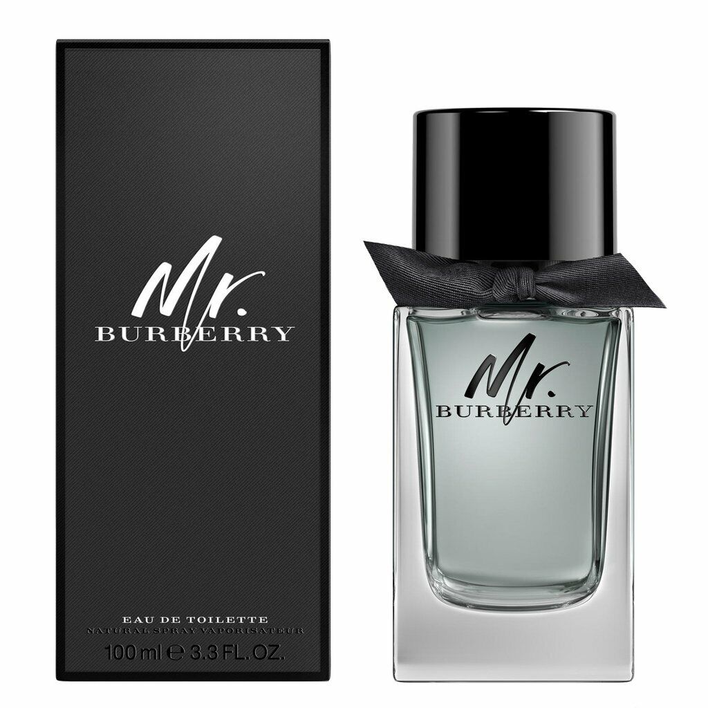 Burberry, Mr. Burberry, Eau de Toilette, För män, 100 ml