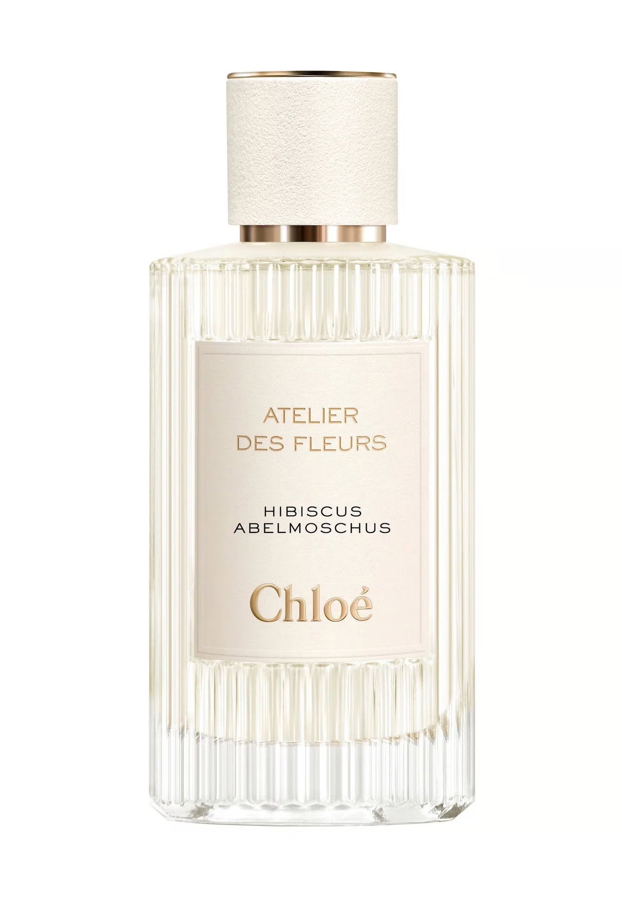 Chloe, Hibiscus Abelmoschus, Parfymvatten, För kvinnor, 150 ml