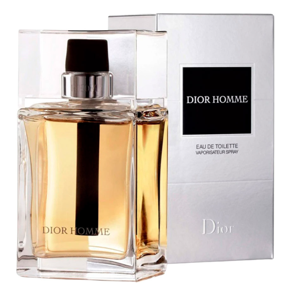 Christian Dior, Dior Homme, Eau de Toilette, För män, 100 ml