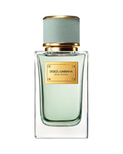 Dolce & Gabbana, Velvet Infusion, Parfymvatten, Unisex, 100 ml
