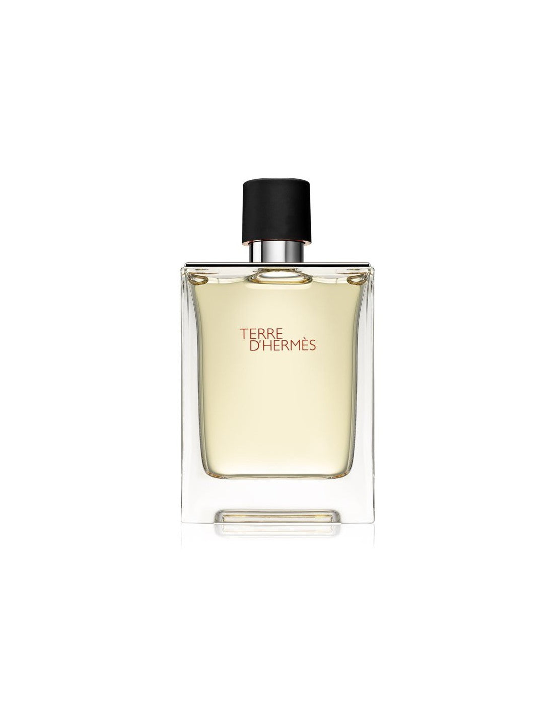 Hermes, Terre d'Hermes, Eau de Toilette, För män, 100 ml