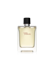 Hermes, Terre d'Hermes, Eau de Toilette, För män, 100 ml