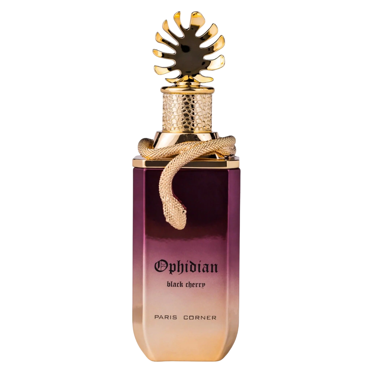 Paris Corner, Ophidian Black Cherry, Parfymvatten, Unisex, 100 ml